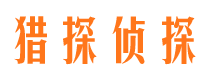 卫东市侦探公司